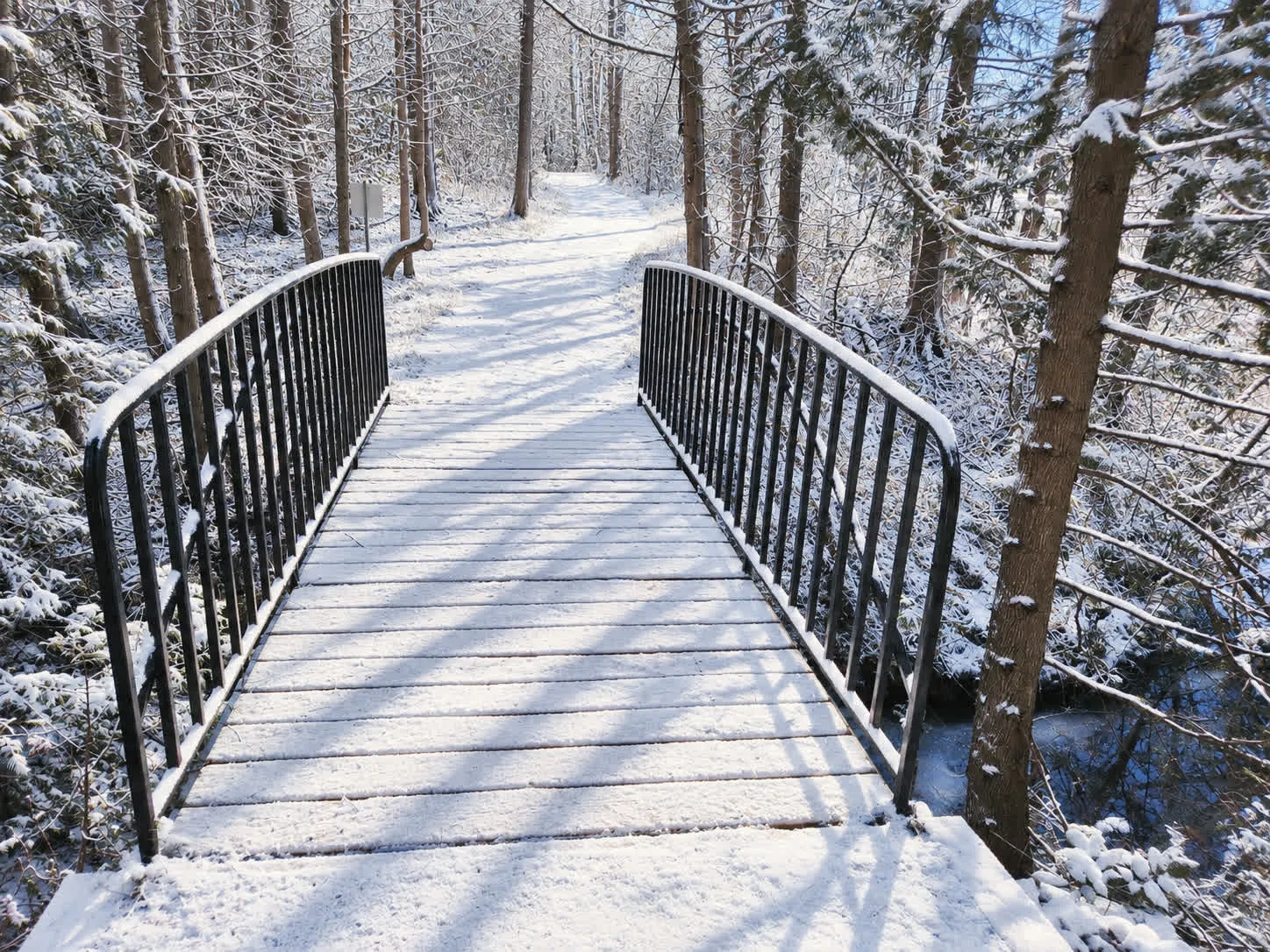 The same footbridge under fresh snow