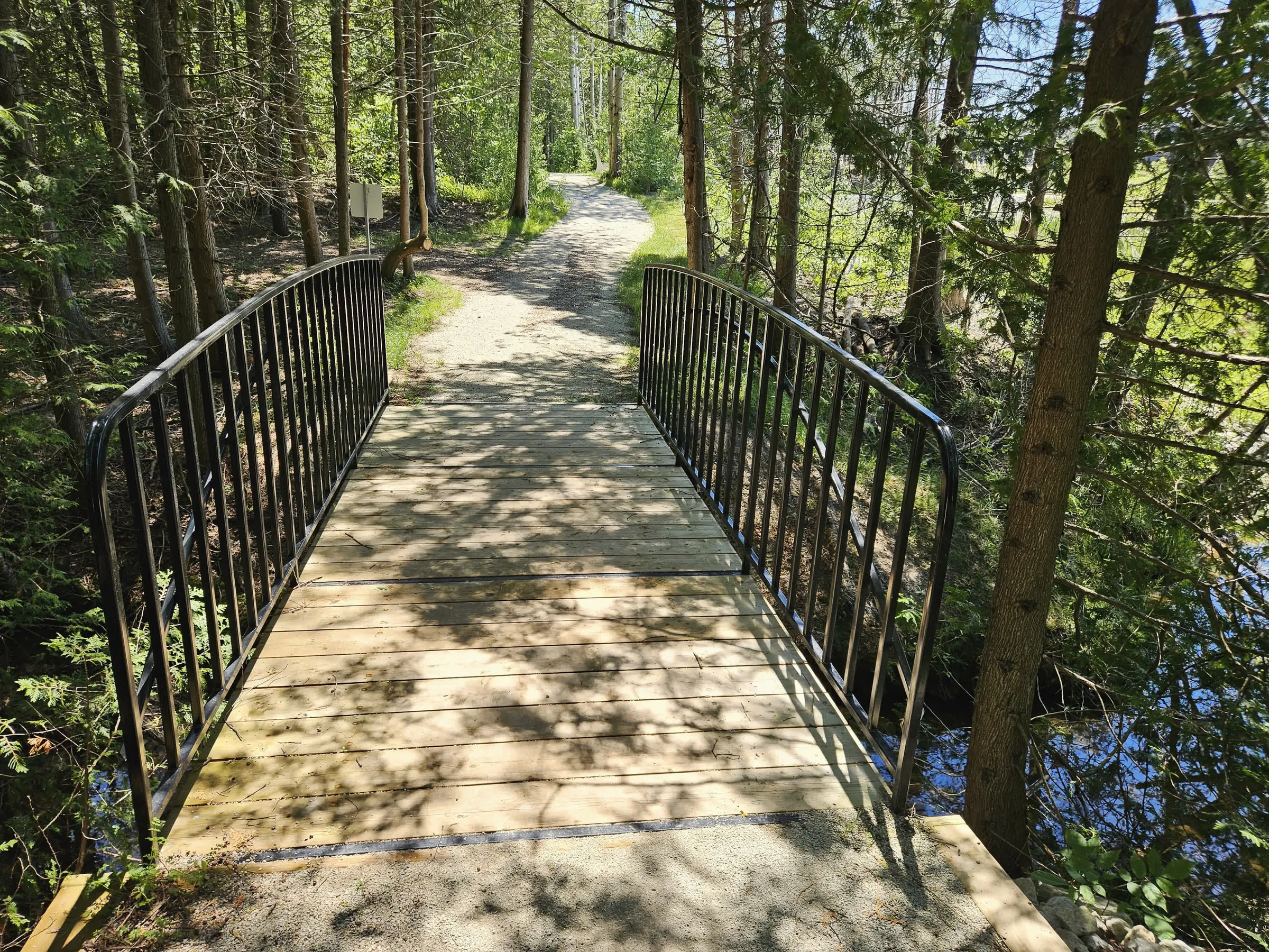 A footbridge carrying the trail over the wooded creek