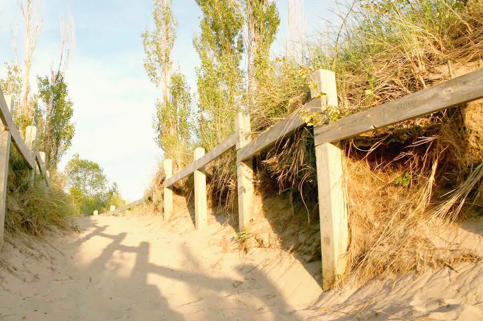 A sandy path between wooden rails over the dunes, leading down to the beach